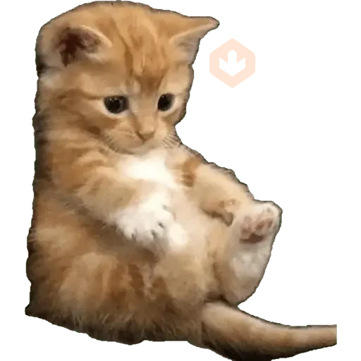 New Random 3 sticker 11