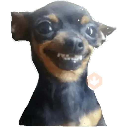 New Random 3 sticker 22
