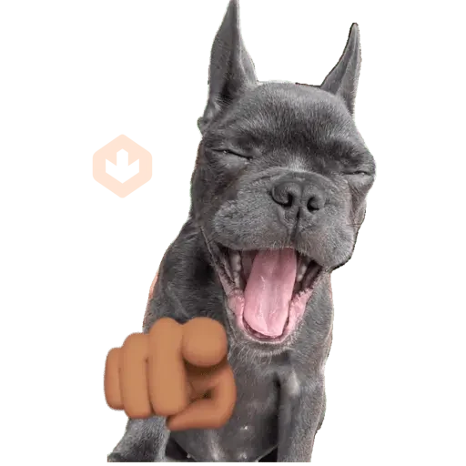 New Random 3 sticker 19