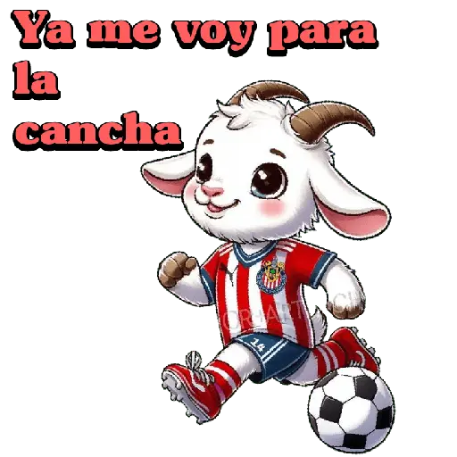 Chivas/Chivas de Guadalajara 🇲🇽