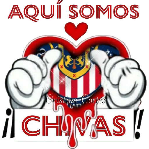 Chivas/Chivas de Guadalajara 🇲🇽