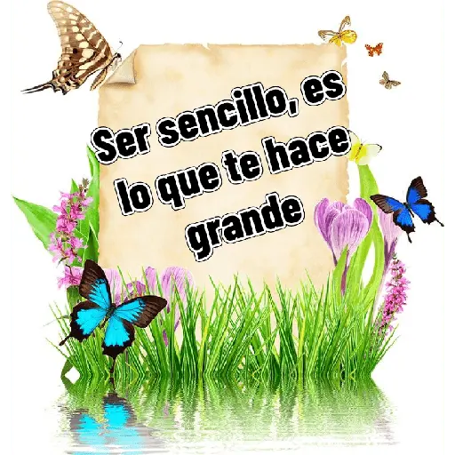 Saludos