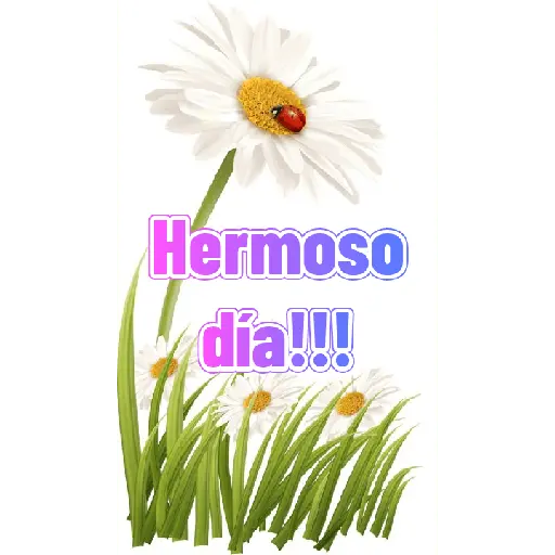 Saludos