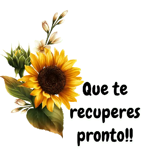 Saludos