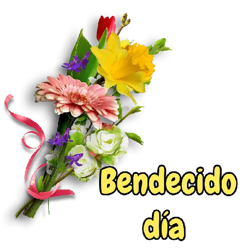 Saludos