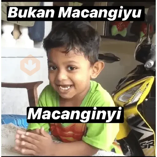 melayu meme 2 sticker 24