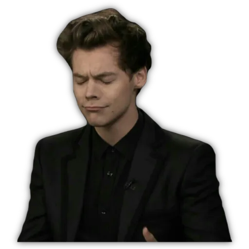 HARRY STYLES preview