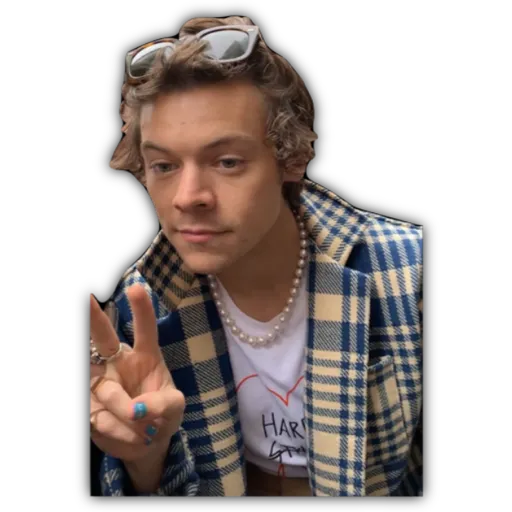 HARRY STYLES