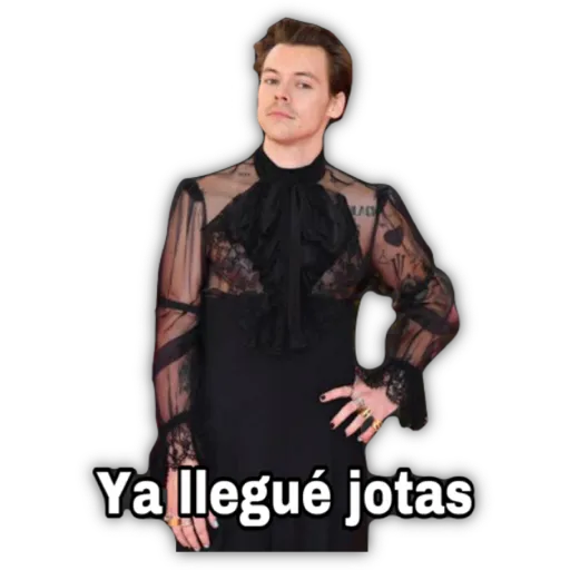 HARRY STYLES