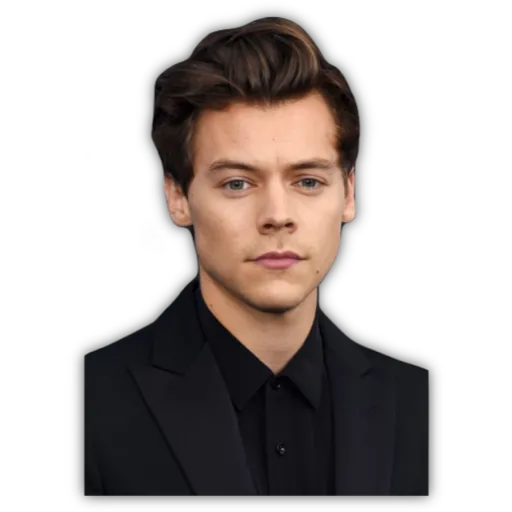 HARRY STYLES