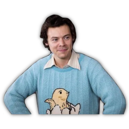 HARRY STYLES