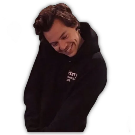 HARRY STYLES