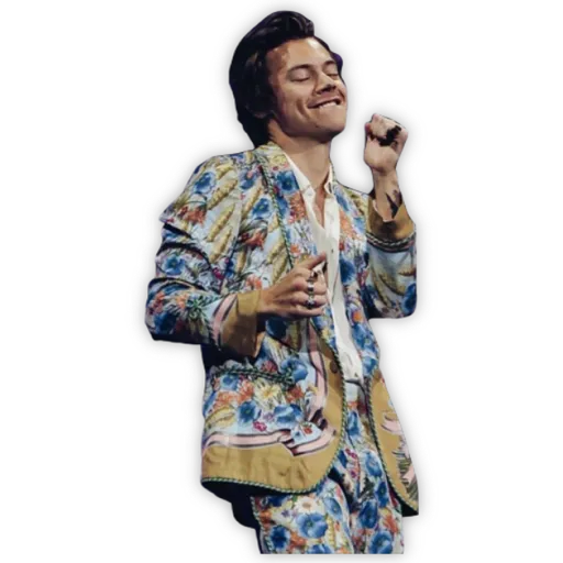 HARRY STYLES