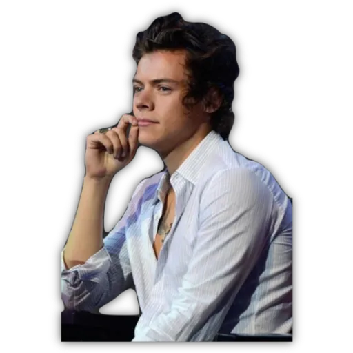 HARRY STYLES