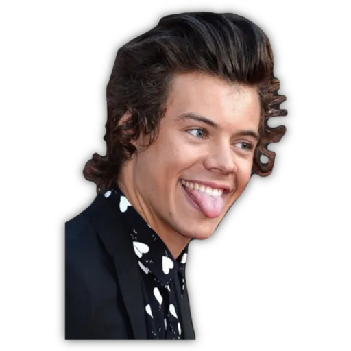 HARRY STYLES