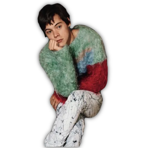 HARRY STYLES