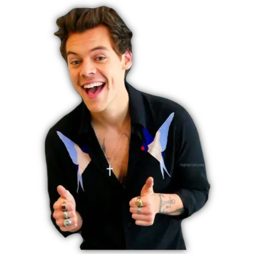 HARRY STYLES