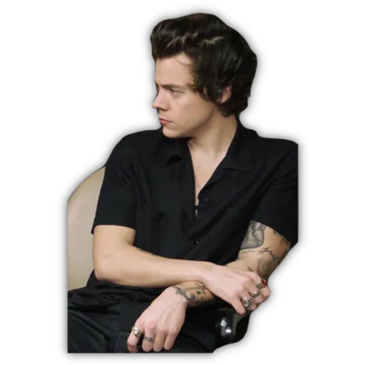 HARRY STYLES