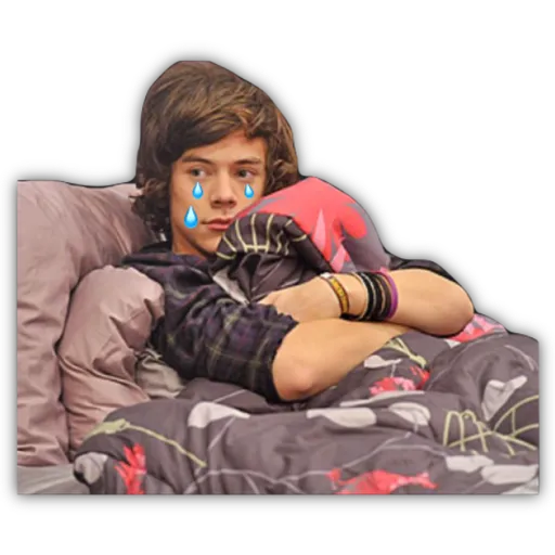 HARRY STYLES