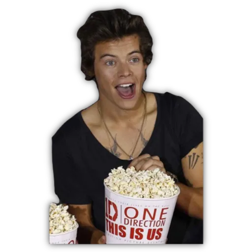 HARRY STYLES
