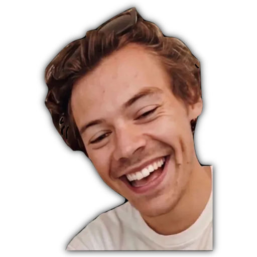 HARRY STYLES