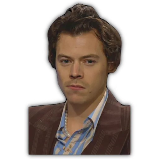HARRY STYLES