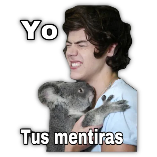 HARRY STYLES