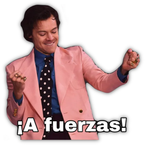 HARRY STYLES