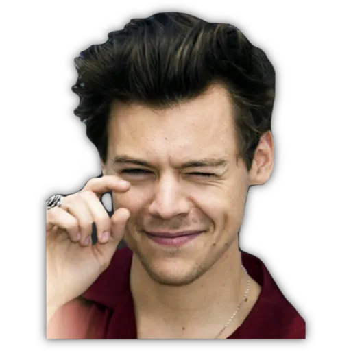 HARRY STYLES
