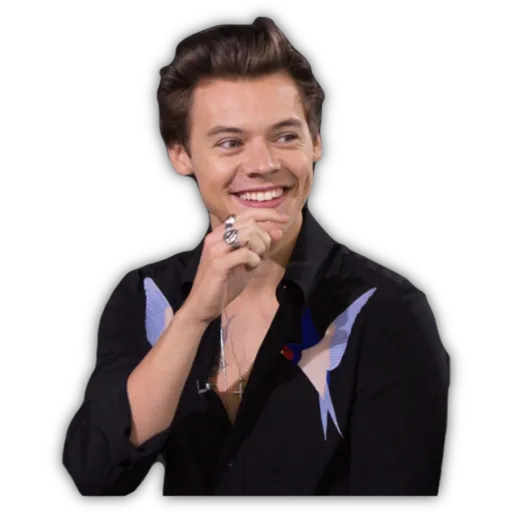HARRY STYLES