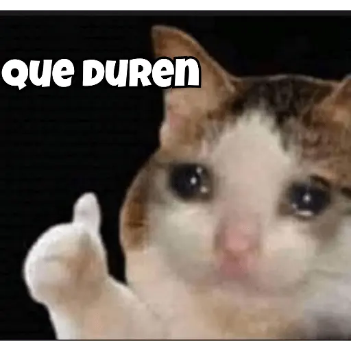sexoso