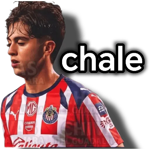 chivas