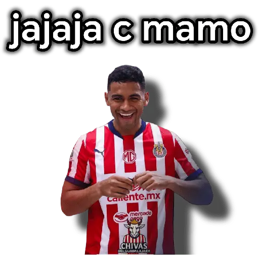 chivas