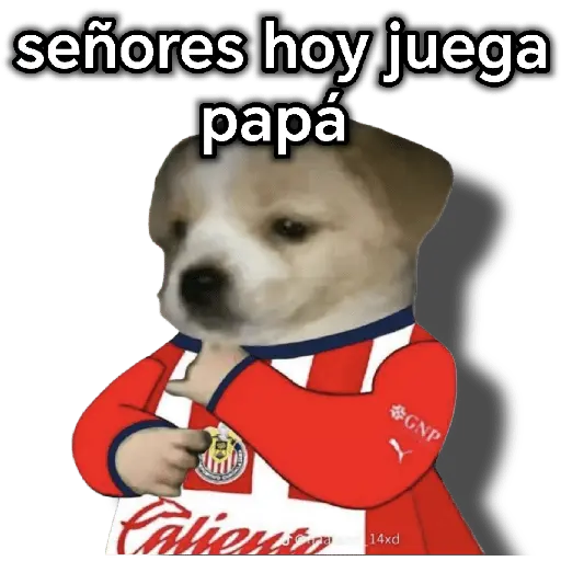 chivas