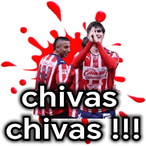 chivas