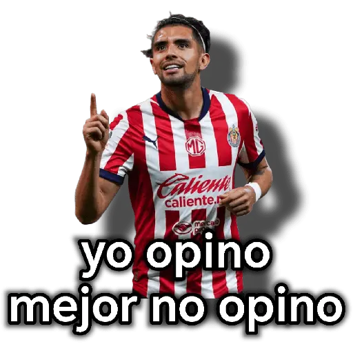 chivas