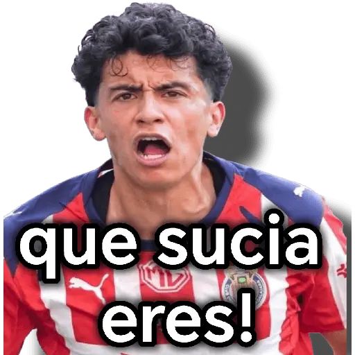 chivas