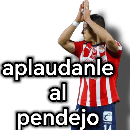 chivas
