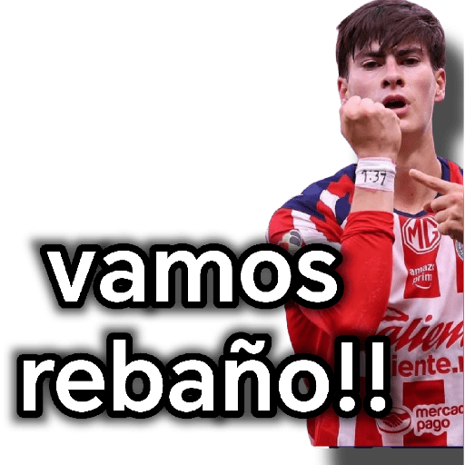 chivas preview