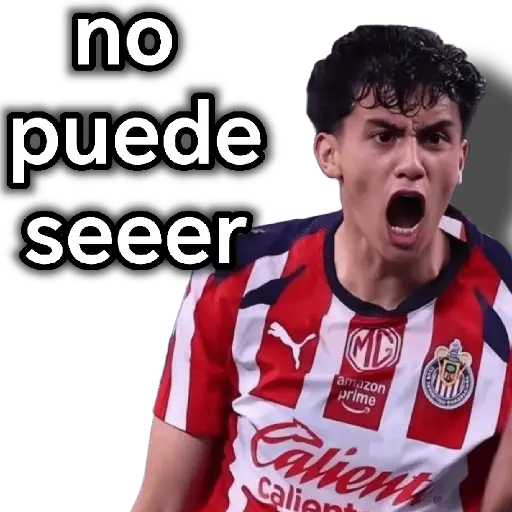 chivas