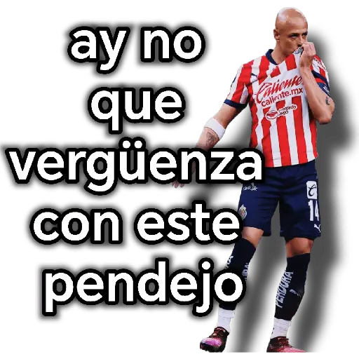 chivas