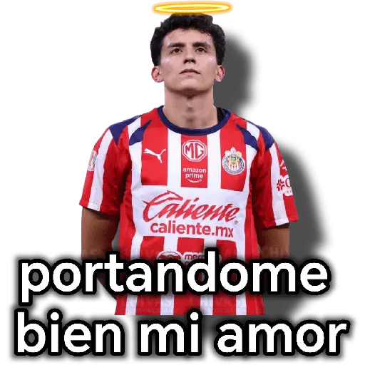 chivas