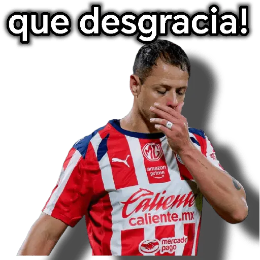 chivas