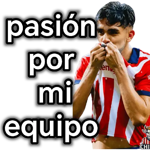 chivas