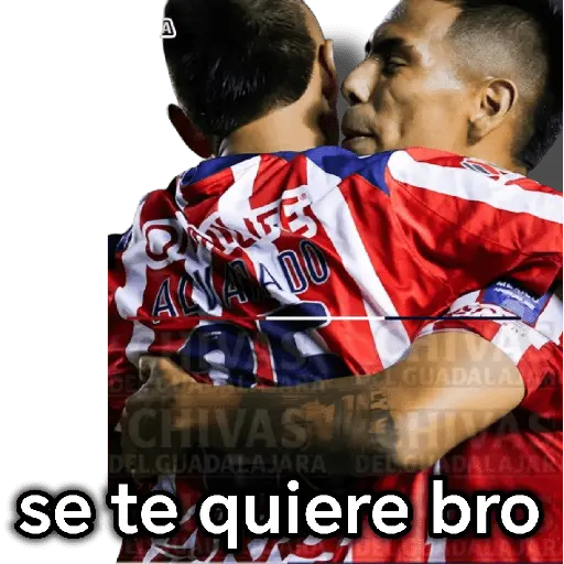 chivas