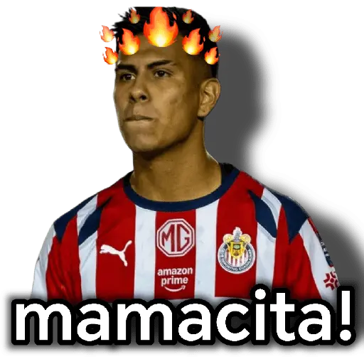 chivas