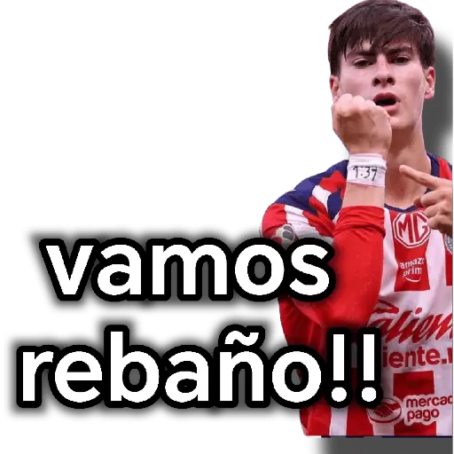 chivas