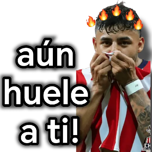 chivas