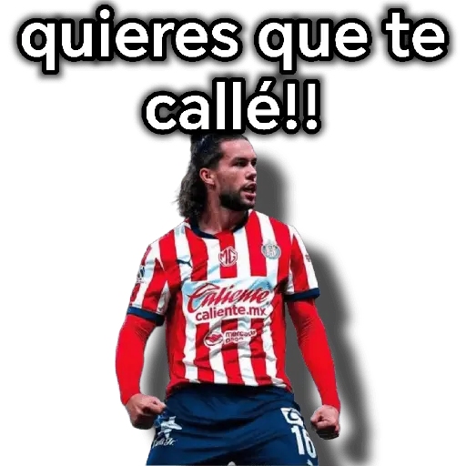 chivas