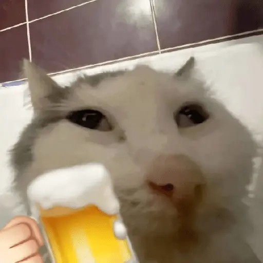 & Gatiños CHILL #③ 🐈‍⬛